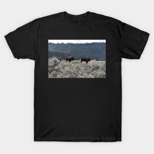 Bison in Yellowstone T-Shirt